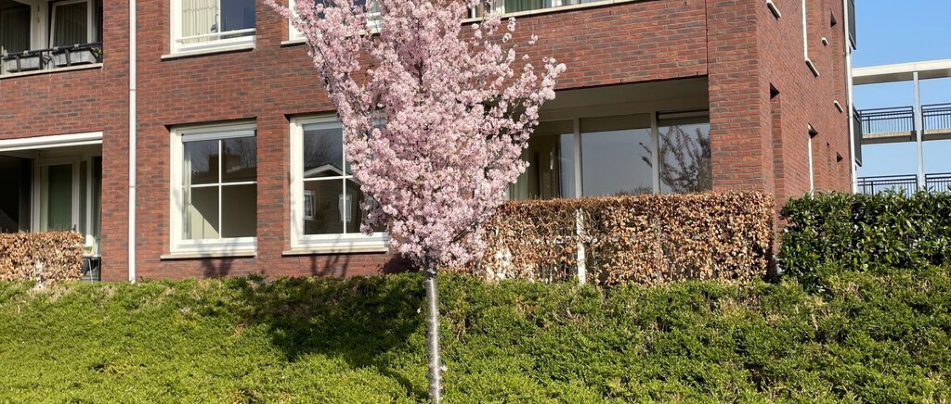 Woning te koop aan de Geleen 17 te Zwolle