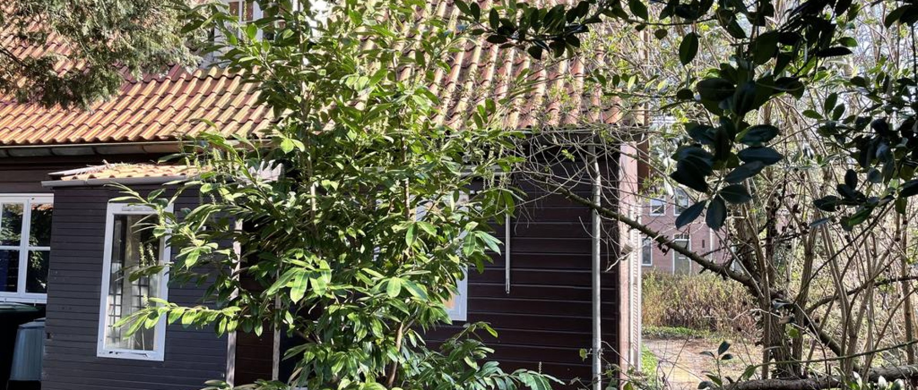 Woning te koop aan de De Rijpstraat 29 te Zwolle